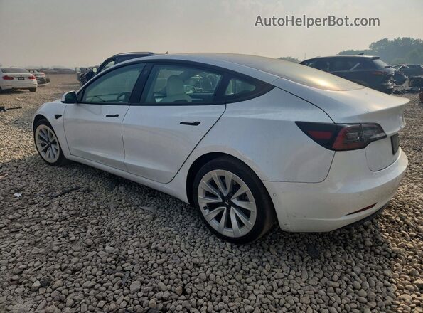 5YJ3E1EB5MF077565 2021 TESLA MODEL White Trasero izquierdo