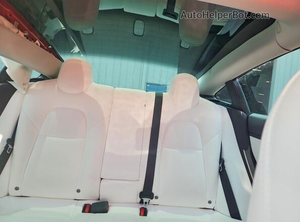 5YJ3E1EB5MF902844 2021 TESLA MODEL Red Вид задніх сидінь