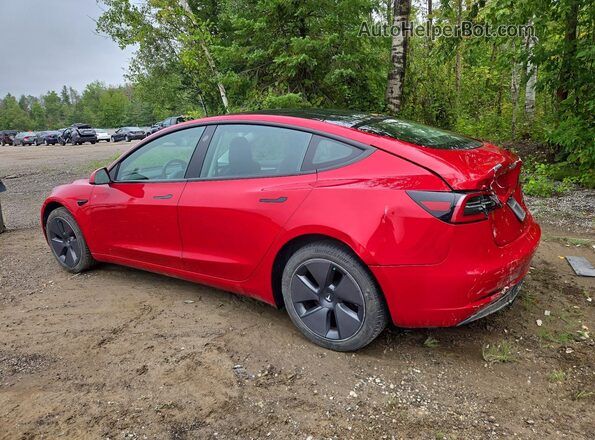 5YJ3E1EB6PF415897 2023 TESLA MODEL Red უკანა მარცხენა