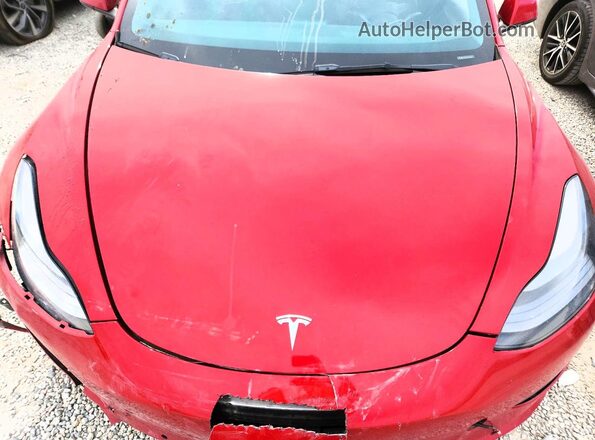 5YJ3E1EB9NF192557 2022 TESLA MODEL Красный Вид задней части салона