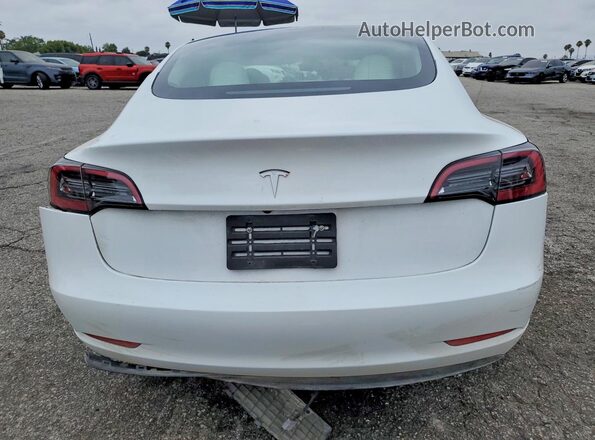 5YJ3E1EC2PF552134 2023 TESLA MODEL White Widok z tyłu