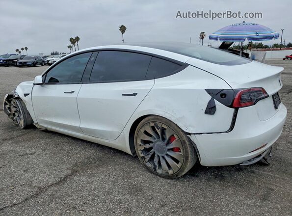 5YJ3E1EC2PF552134 2023 TESLA MODEL White Tył lewy