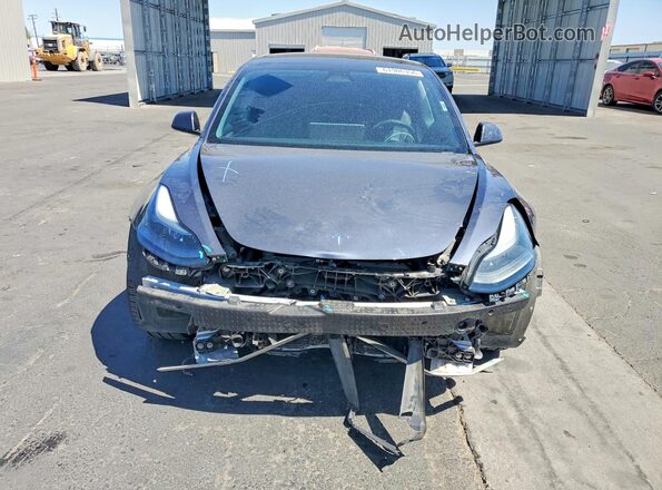 5YJ3E1EC5PF498229 2023 TESLA MODEL Серый Вид спереди
