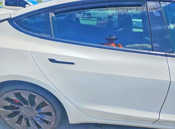 5YJ3E1ECXMF088456 2021 TESLA MODEL Белый Вид задних сидений