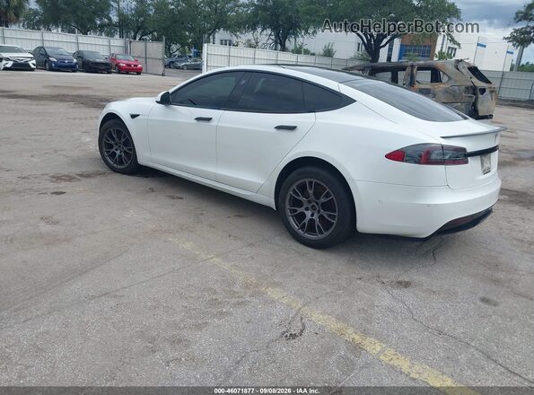 5YJSA1E51MF428201 2021 TESLA MODEL S White Tył lewy