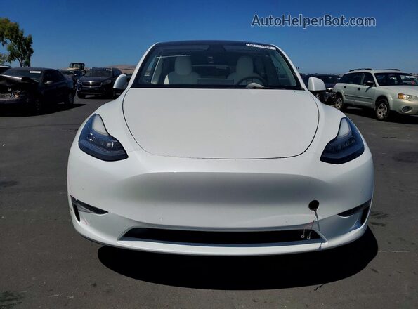 5YJYGAEE3MF228297 2021 TESLA MODEL White Vista frontal