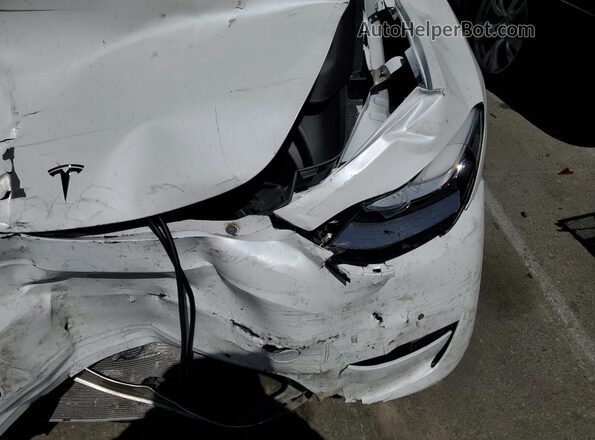 5YJYGDEE1LF028406 2020 TESLA MODEL Белый Вид задней части салона
