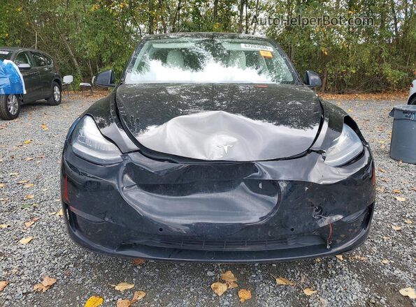 5YJYGDEE2MF130847 2021 TESLA MODEL Black წინა ხედი