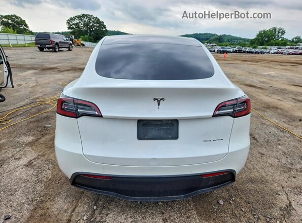 5YJYGDEE3MF255484 2021 TESLA MODEL White Հետևի տեսք