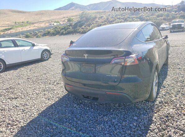 5YJYGDEE6MF210992 2021 TESLA MODEL Black Вид ззаду