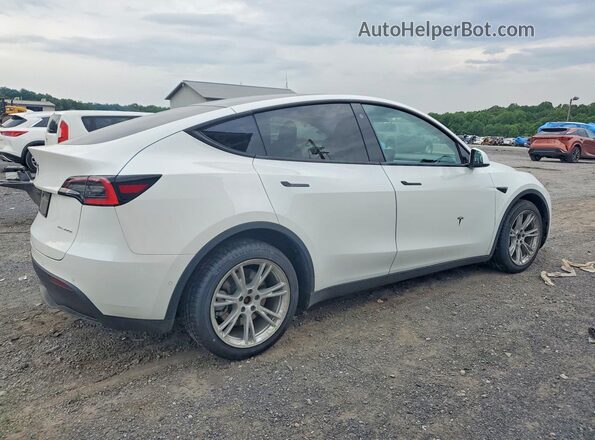 5YJYGDEE7MF066420 2021 TESLA MODEL White Tył prawy