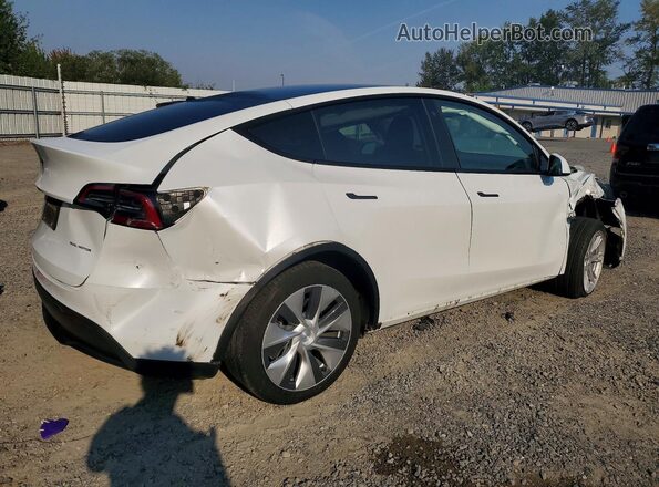 5YJYGDEE8MF153078 2021 TESLA MODEL White უკანა მარჯვენა