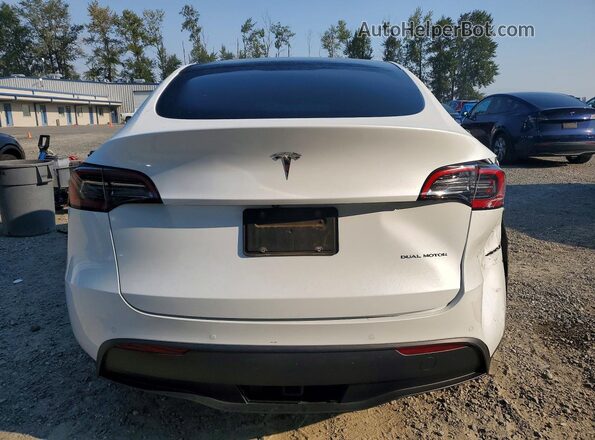 5YJYGDEE8MF153078 2021 TESLA MODEL White უკანა ხედი