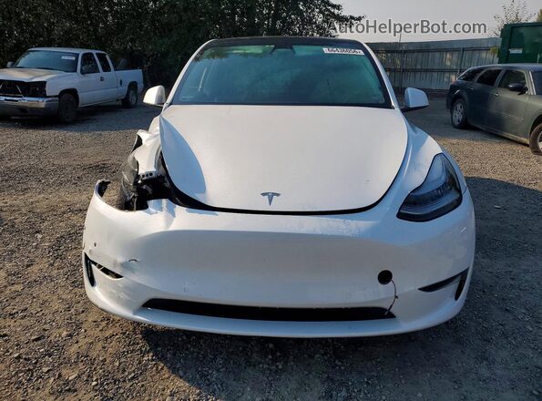 5YJYGDEE8MF153078 2021 TESLA MODEL White წინა ხედი