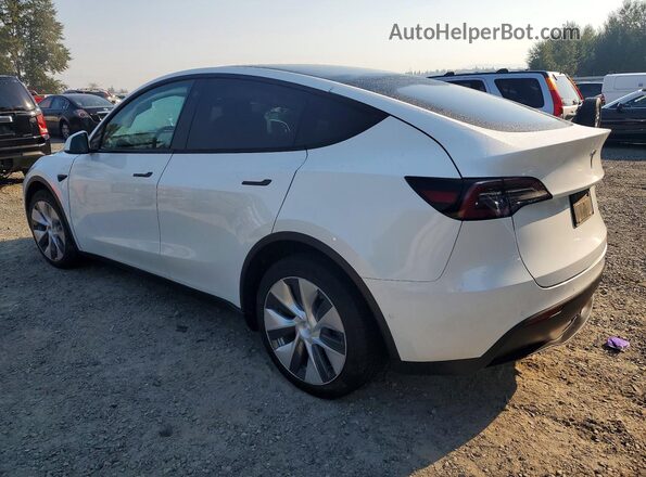 5YJYGDEE8MF153078 2021 TESLA MODEL White უკანა მარცხენა