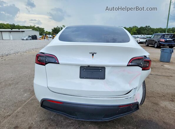 5YJYGDEE9MF303005 2021 TESLA MODEL White Вид ззаду