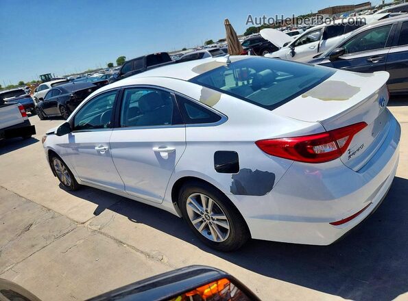 5NPE24AFXGH375823 2016 HYUNDAI SONATA White Tył prawy