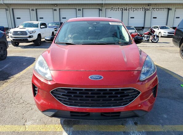1FMCU0G69MUB17114 2021 FORD ESCAPE Красный Вид сзади