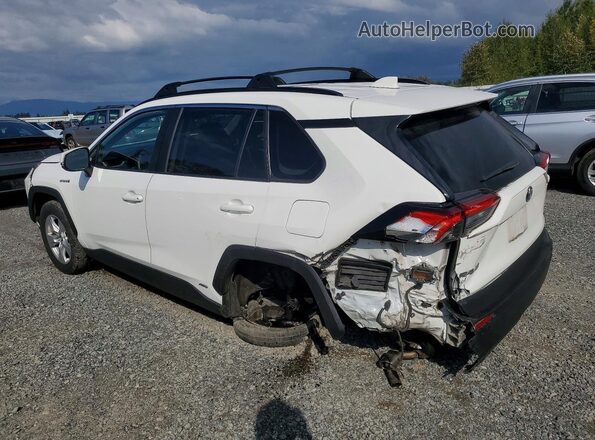 2T3RWRFV8LW072092 2020 TOYOTA RAV4 White Հետևի աջ