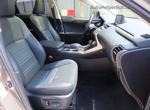 JTJYARBZ1K2147593 2019 LEXUS NX Silver Вид ззаду