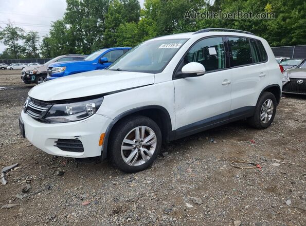 WVGBV7AX1GW613987 2016 VOLKSWAGEN TIGUAN White Tył lewy