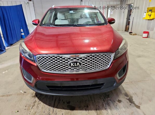 5XYPGDA30HG267722 2017 KIA SORENTO Red Rear view