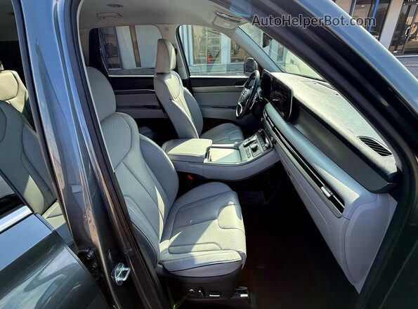 KM8R24GE1SU810996 2025 HYUNDAI PALISADE Gray Widok z tyłu