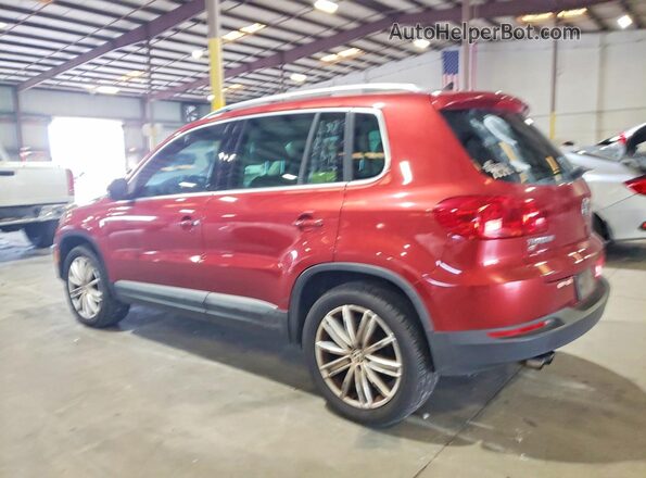 WVGAV7AX7GW007041 2016 VOLKSWAGEN TIGUAN Red Trasero derecho
