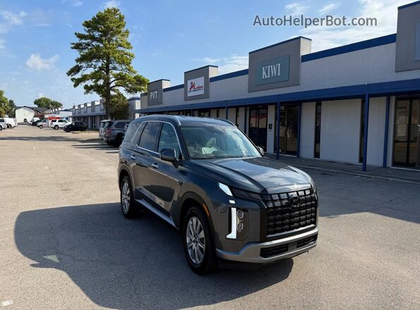 KM8R24GE1SU810996 2025 HYUNDAI PALISADE Gray Tył lewy