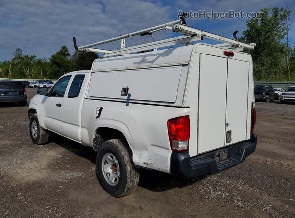 5TFRX5GN0GX064669 2016 TOYOTA TACOMA White Tył prawy