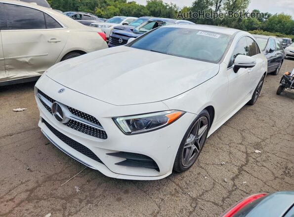 WDD2J5KBXLA050166 2020 MERCEDES-BENZ CLS-CLASS White Tył lewy