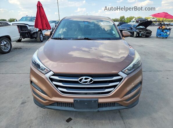 KM8J23A47HU430206 2017 HYUNDAI TUCSON Brown Rear view