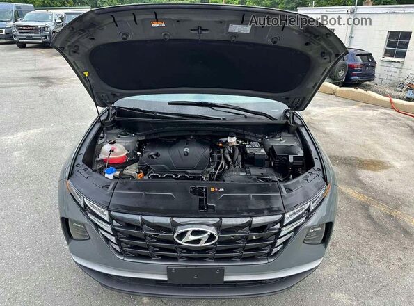 5NMJB3DE9RH428815 2024 HYUNDAI TUCSON Gray Widok z tyłu