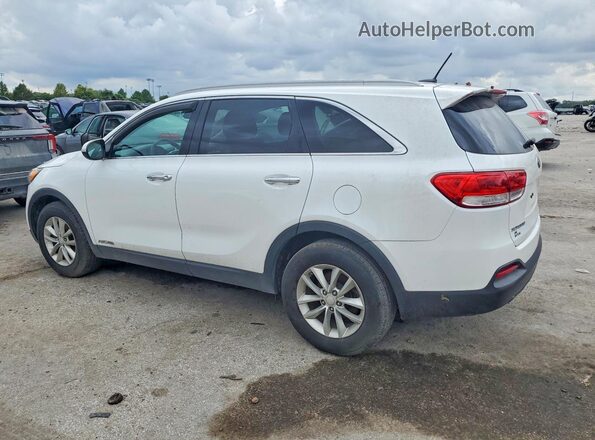 5XYPGDA57HG209043 2017 KIA SORENTO Белый Задняя правая четверть