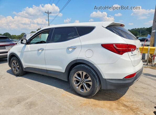 5XYZTDLB1GG314358 2016 HYUNDAI SANTA White Tył prawy