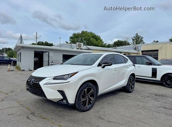 JTJGARBZ5L2167925 2020 LEXUS NX White Tył lewy
