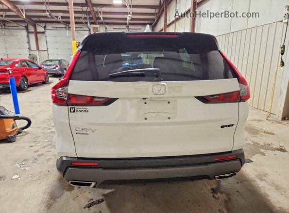 7FARS6H86RE002269 2024 HONDA CR-V White Հետևի տեսք
