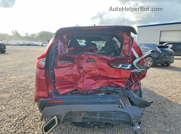 7FARS6H88TE041257 2026 HONDA CR-V Red Widok z tyłu