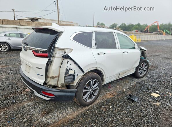 7FART6H88ME016552 2021 HONDA CR-V White უკანა მარჯვენა