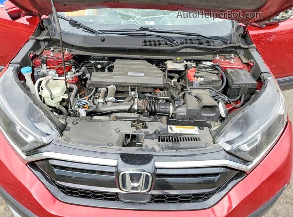 7FARW2H59LE009002 2020 HONDA CR-V Red Սալոնի հետևի տեսք