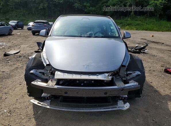 7SAYGAEE5RF118698 2024 TESLA MODEL Gray Widok z przodu