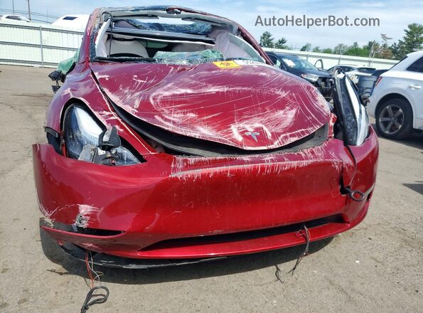 7SAYGAEE7RF066622 2024 TESLA MODEL Красный Вид спереди