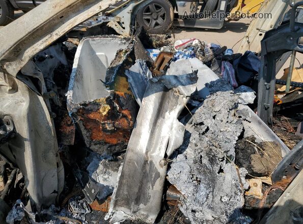 7SAYGAEEXSF262561 2025 TESLA MODEL Пожар Вид салона спереди