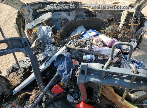 7SAYGAEEXSF262561 2025 TESLA MODEL Пожар Вид панели приборов