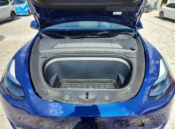 7SAYGDED2SF248906 2025 TESLA MODEL Синий Вид задней части салона