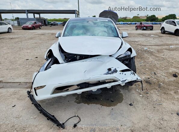 7SAYGDED3RF195255 2024 TESLA MODEL Белый Вид спереди