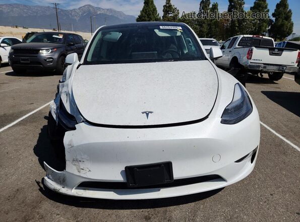 7SAYGDED4SF276965 2025 TESLA MODEL Белый Вид спереди