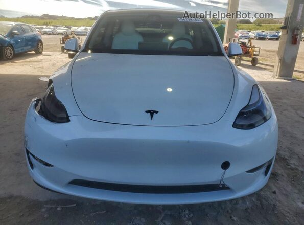 7SAYGDED7SF216131 2025 TESLA MODEL White Widok z przodu