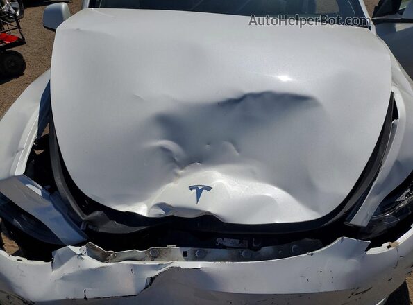7SAYGDED8RF025084 2024 TESLA MODEL Белый Вид задней части салона