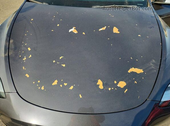 7SAYGDEE0NF338598 2022 TESLA MODEL Угольный Вид задней части салона